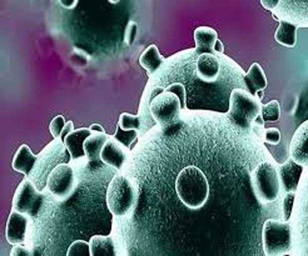 उज्जैन जिले में मिले कोरोना संक्रमण के 13 नए मामले उज्जैन जिले में मिले कोरोना संक्रमण के 13 नए मामले